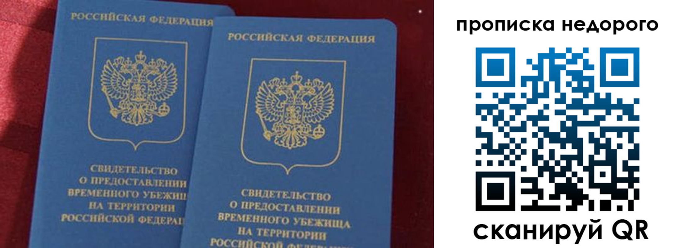 прописка гарантия в Славгороде
